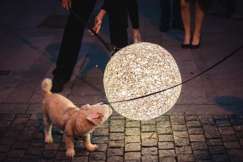 Identitate de brand pentru Banca Transilvania, in cadrul Festivalului International de Teatru FITS Sibiu 2019