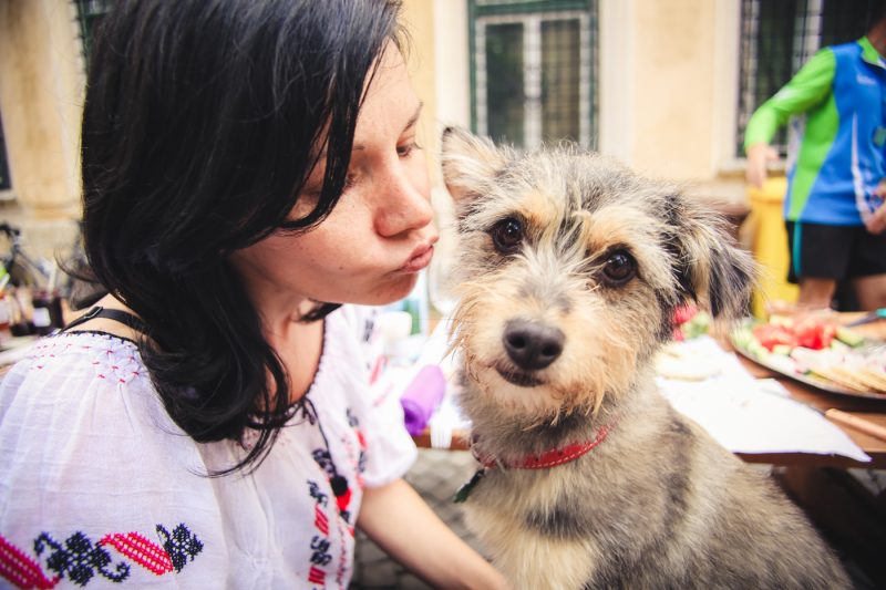 Picnic in Piata Huet Sibiu, a doua zi dupa Maratonul International de la Sibiu
