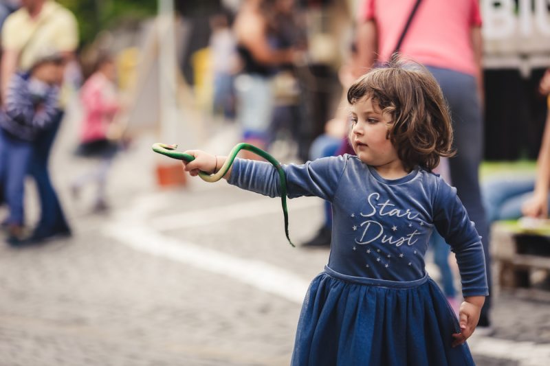 Picnic in Piata Huet Sibiu, a doua zi dupa Maratonul International de la Sibiu