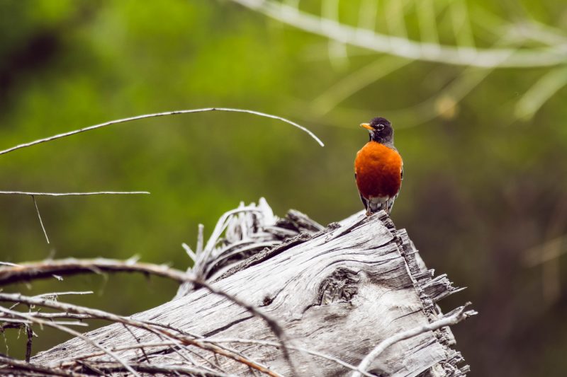 fotografie travel Segovia